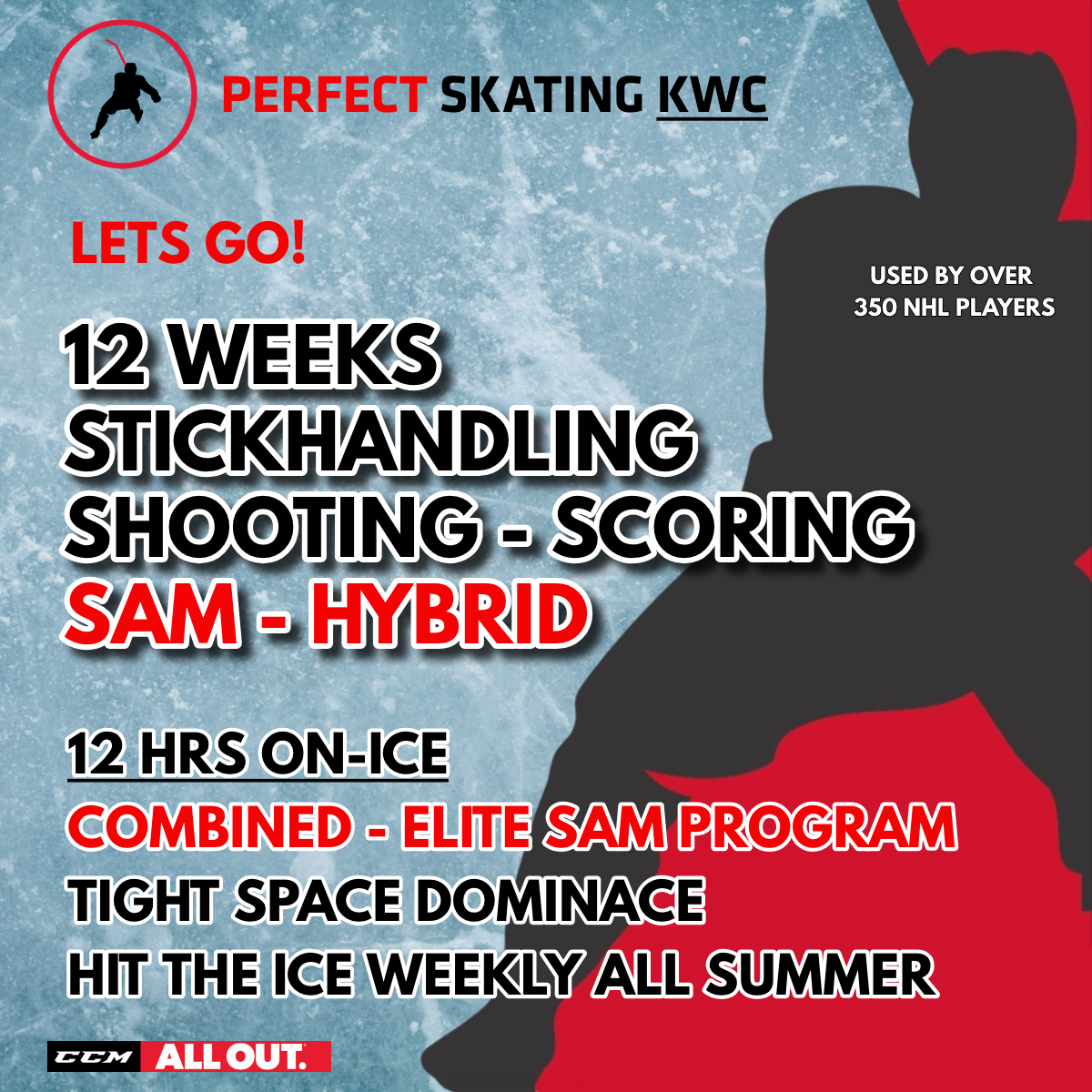 SHOOTING - STICKHANDLING - SCORING - SAM HYBRID