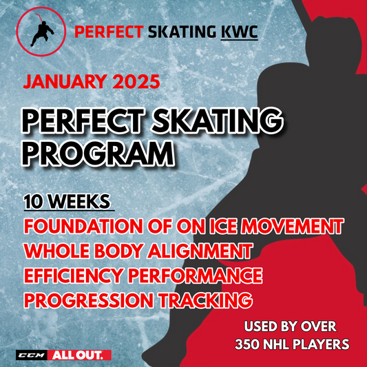 2025 Perfect Skating Program - SOLD OUT!